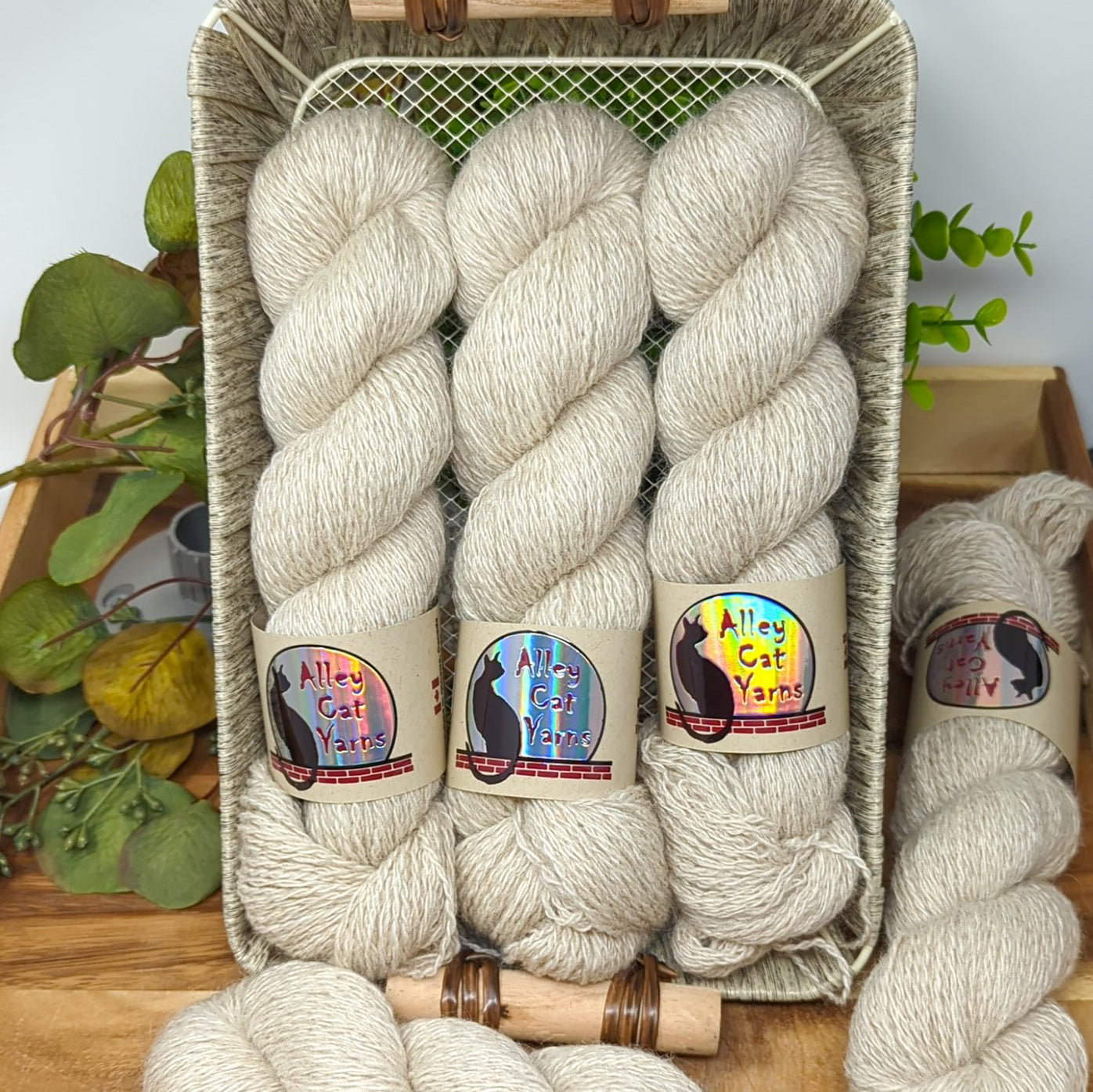 Canadian BFL Alpaca Sport