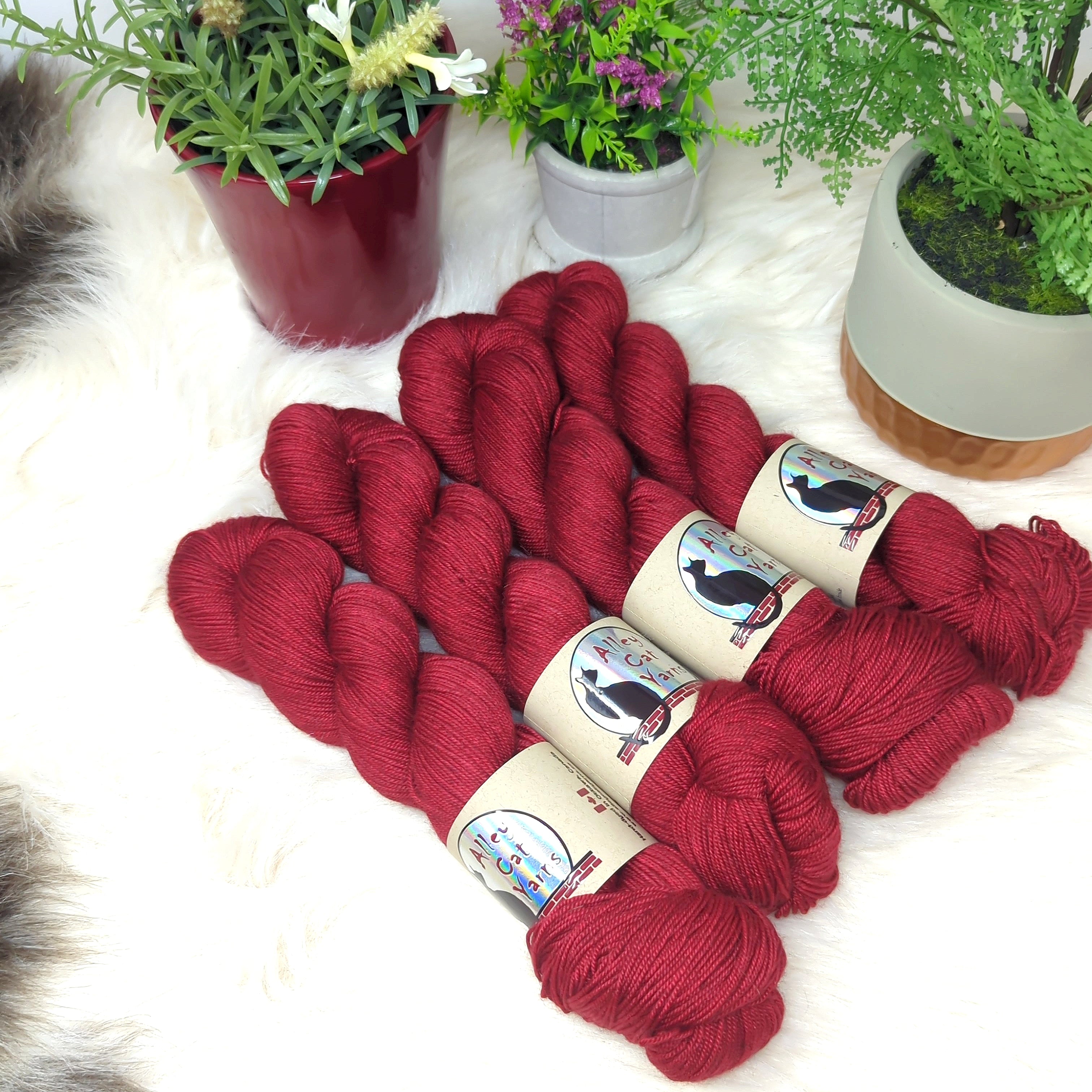 Silk Yak 4-ply: Cherry – Alley Cat Yarns