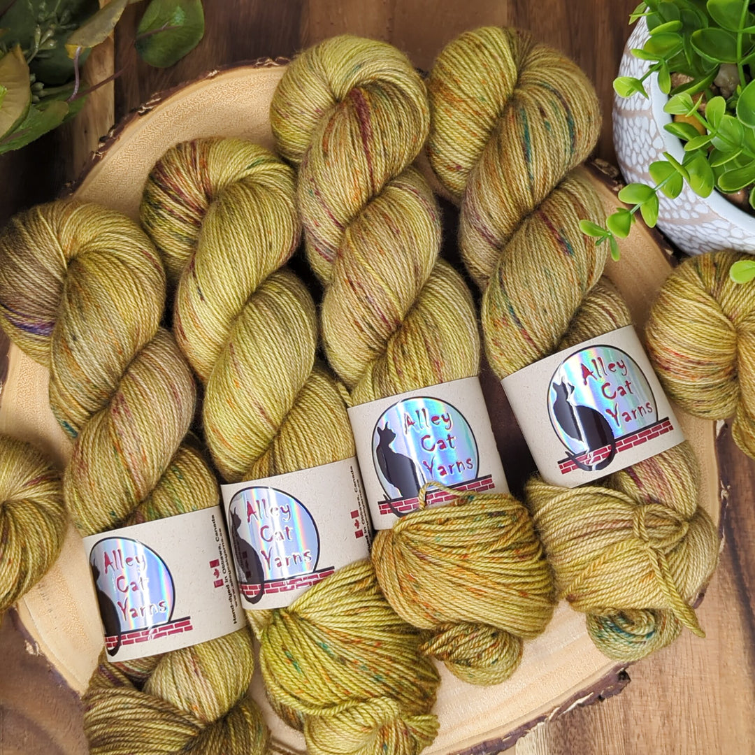 Leo BFL Sock: Polypore