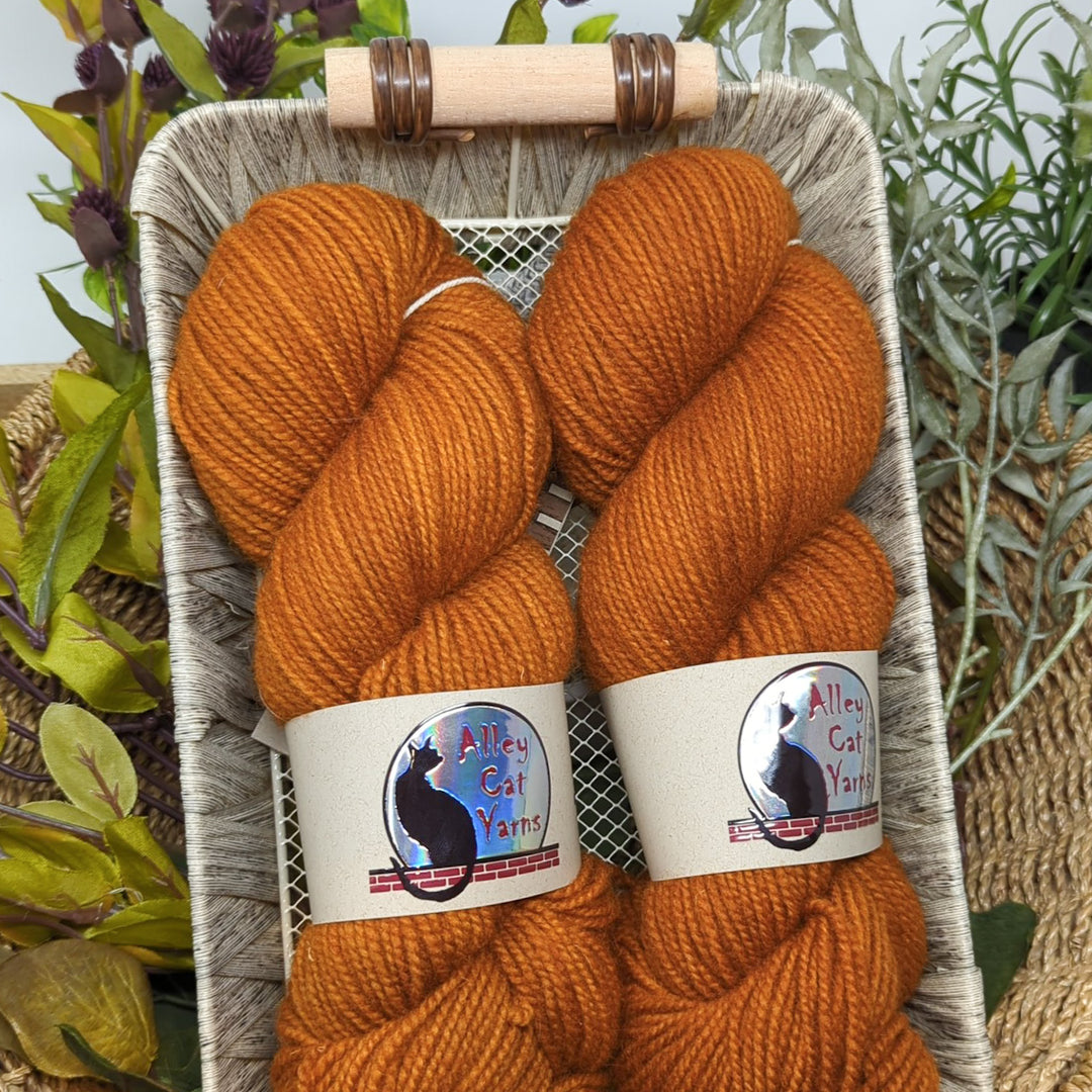 Ontario Dorset: Pumpkin