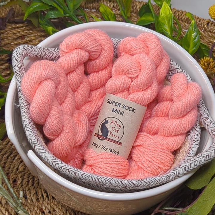 Super Sock Mini Skein