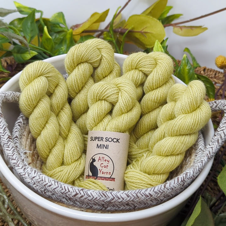 Super Sock Mini Skeins