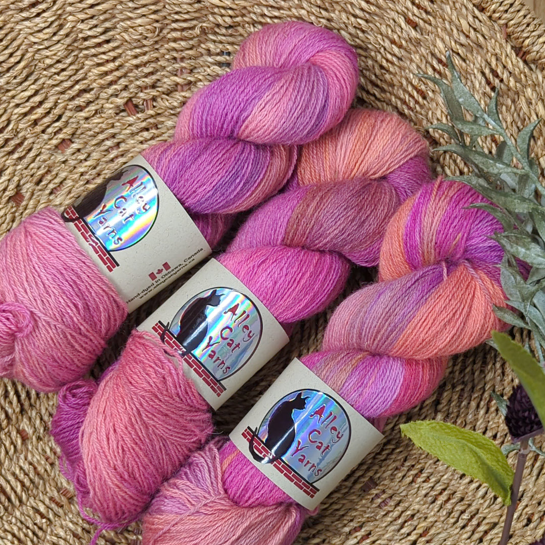 Ontario Sock: Bonita