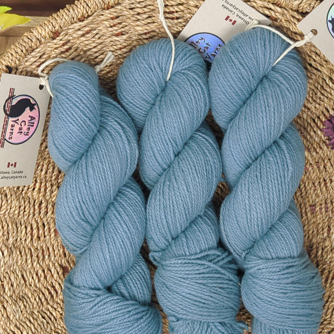 Ontario Rambouillet DK: Dusty Blue