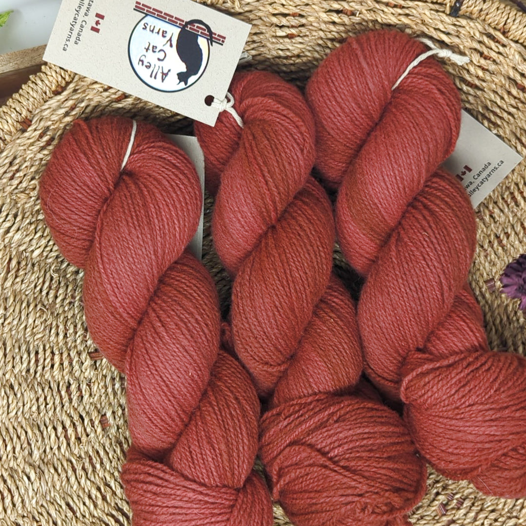 Ontario Rambouillet DK: Chile