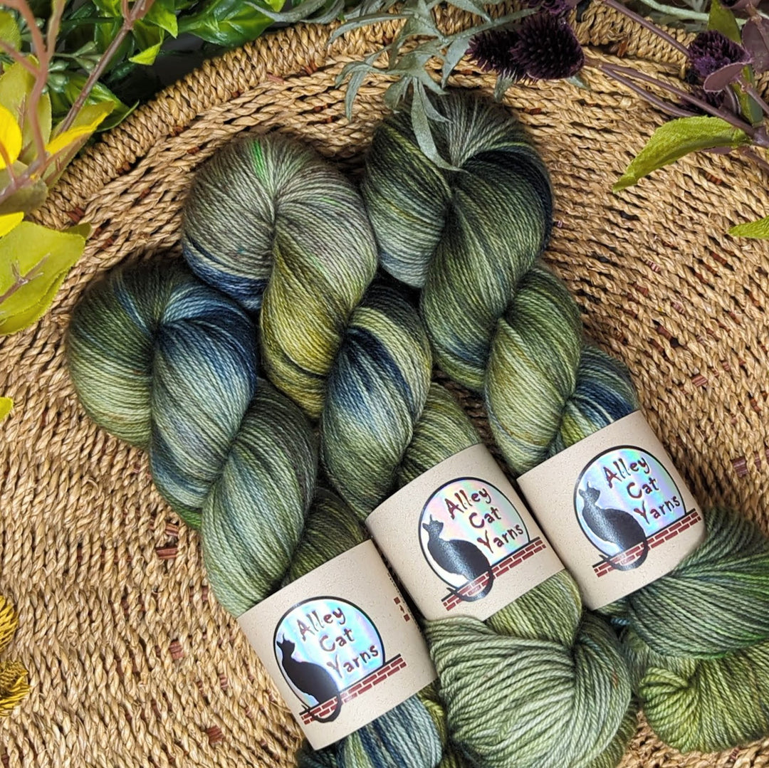 Leo BFL Sock: New Growth