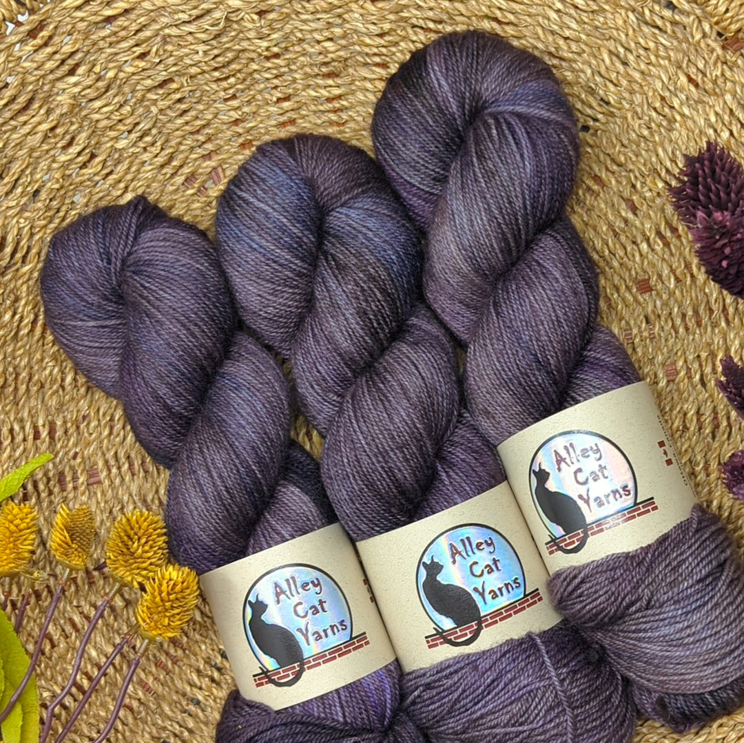 Leo BFL Sock: Gale