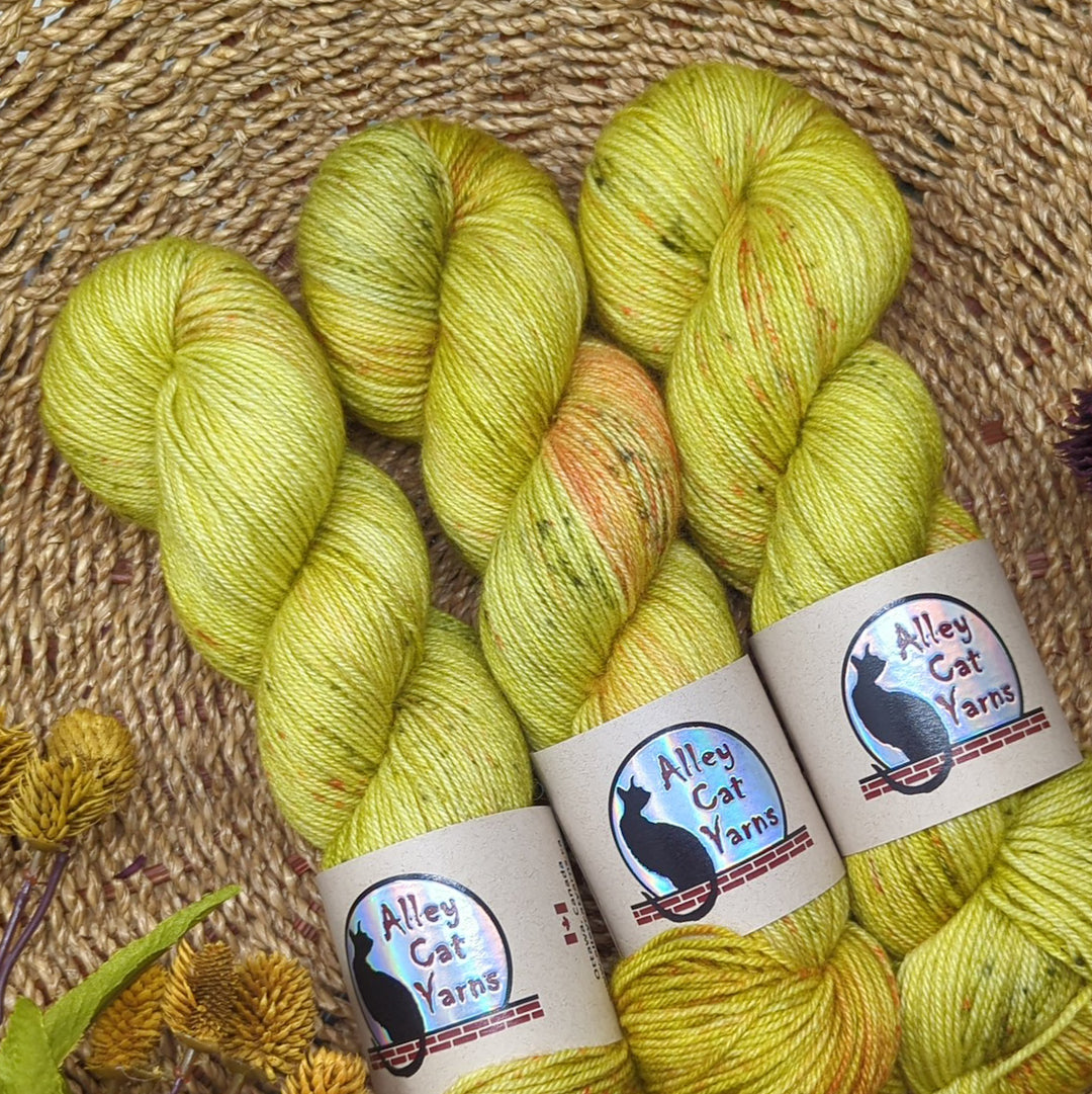 Leo BFL Sock: Reverie