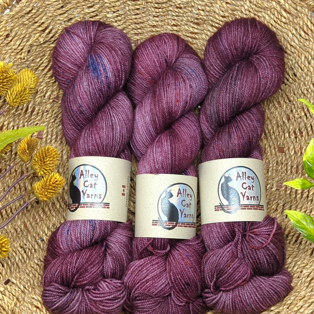 Leo BFL Sock: Coronation