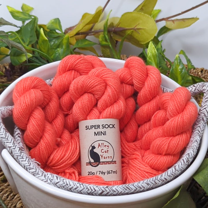 Super Sock Mini Skeins